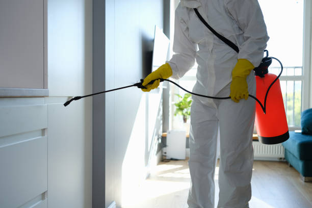 Best Pest Control for Multi-Family Homes  in Chenango Bridge, NY